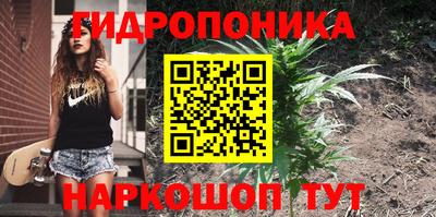 jwh Краснознаменск