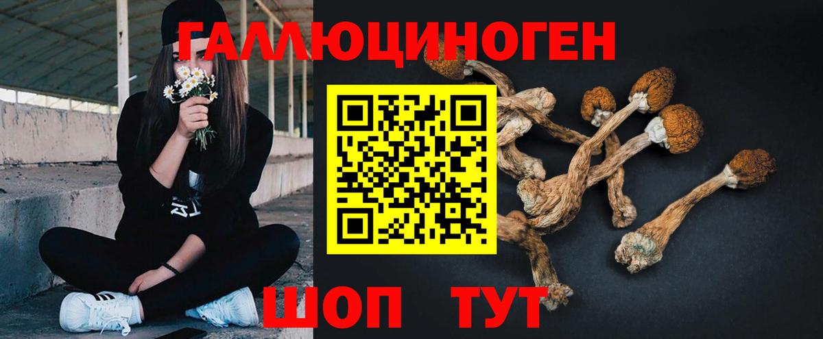 Галлюциногенные грибы MAGIC MUSHROOMS  Вход с VPN  Коркино 